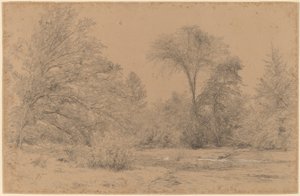 Paisagem, início da primavera