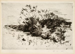 Paisagismo perto de Cincinnati de John Henry Twachtman