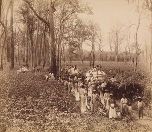 12 horas no Deadening, ca. 1891. de John Horgan