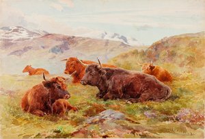 Paisagem das montanhas com gado
