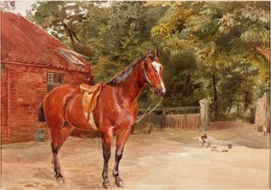 Stableyard com cavalo (bc und wc no papel)