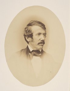 Dr. Livingstone de John Jabez Edwin Mayall