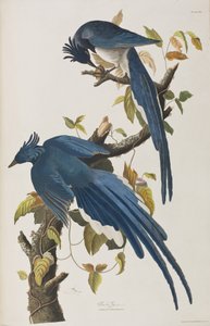 Ilustração de 