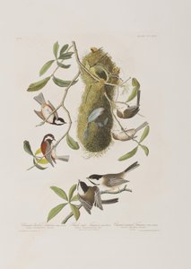 Ilustração de 