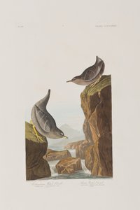 Ilustração de 