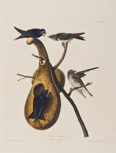 Ilustração de 