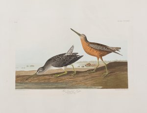 Ilustração de 