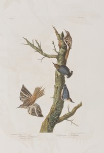Ilustração de 