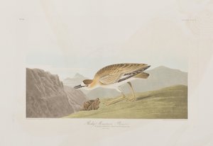 Ilustração de 