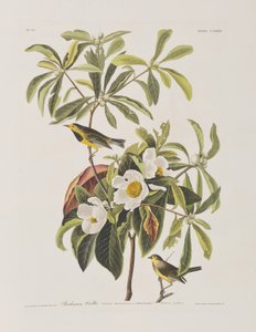 Ilustração de 