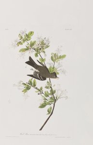 Ilustração de 