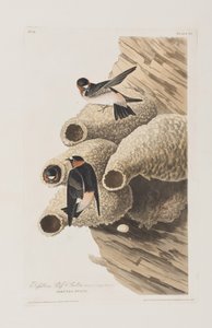 Ilustração de 