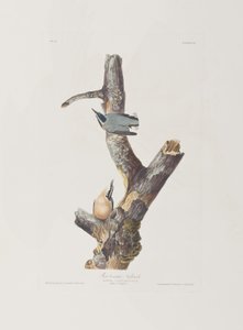 Ilustração de 
