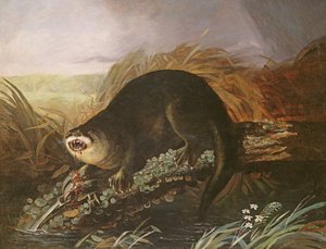 Lontra Preso em uma Armadilha de John James Audubon