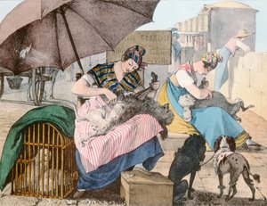 Os groomers do cão, 1820