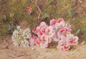 Borboleta e flores