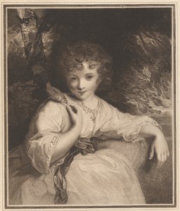 Robinetta de John Jones