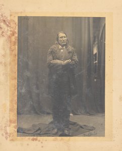 Stehender Büffel de John K. Hillers