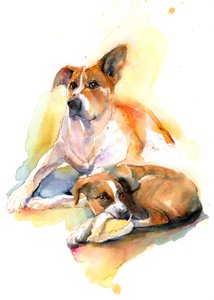 Charlie e Sally, 2016, (aquarela)