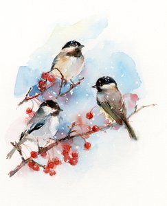Chickadees com Berries, 2017, (aguarela)