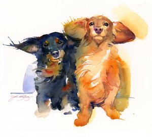 Dacshund Duo, 2014, (aquarela)