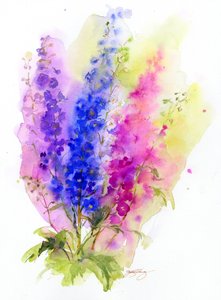 Delphinium, 2016, (aquarela)
