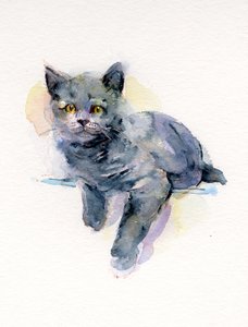 Gatinho cinzento, 2017, (aguarela)