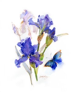 Íris com borboleta azul, 2016, (aquarela) de John Keeling