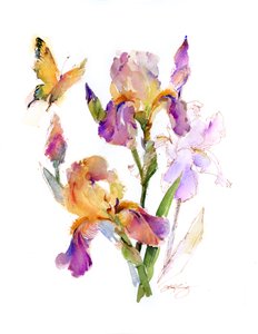 Íris com borboleta amarela, 2016, (aquarela)