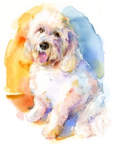 Retrato de Oliver, 2016, (aquarela)