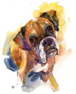 Retrato de Stanley, 2016, (aquarela)
