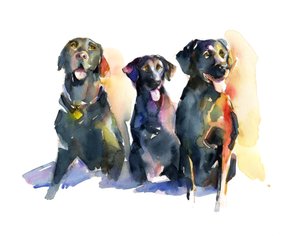 Três laboratórios negros, 2015, (aquarela)