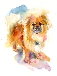 Retrato de Tipper, 2016, (aquarela)