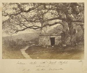 Carvalhos de Valonea com a capela grega por cima. B.H. Renkioi, Dardanelos de John Kirk