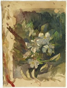 Apple Blossoms in Sunlight (wc no papel)