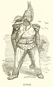 Um gaulês de John Leech