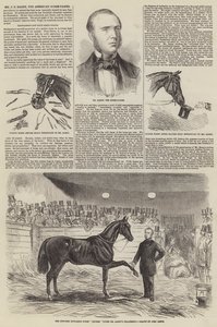 Sr. JS Rarey, o American Horse-Tamer