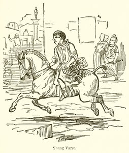 Young, Varro