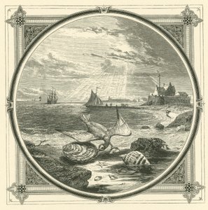 A mordedura (gravação) de John Leighton