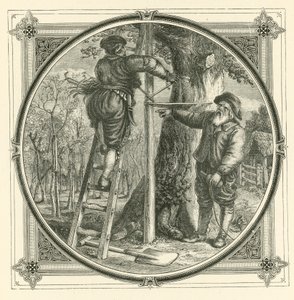 Os ramos podem ser treinados, mas não o tronco (gravura) de John Leighton