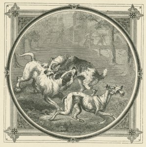 Os cães e o osso (gravura) de John Leighton
