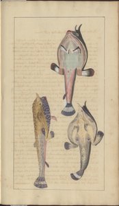 Lindsay Drawings Vol. VII, 27 de John Lindsay