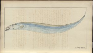Desenhos de Lindsay Vol. VII, 9 de John Lindsay