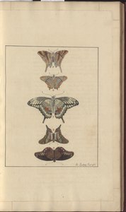Lindsay Drawings Vol. VI, 32 de John Lindsay