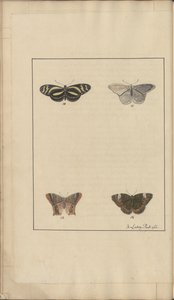 Lindsay Drawings Vol. VI, 35 de John Lindsay