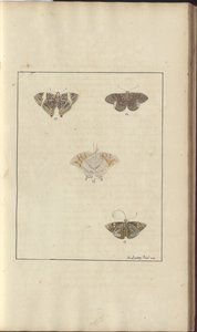 Desenhos de Lindsay Vol. VI, 42 de John Lindsay