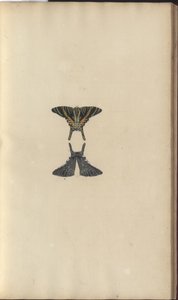 Lindsay Drawings Vol. VI, 48 de John Lindsay