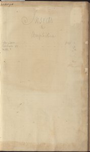 Lindsay Drawings Vol. VI, frontispício de John Lindsay