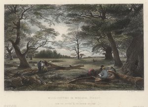 Corte de madeira na floresta de Windsor (gravura colorida) de John Linnell