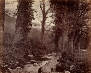 Sem título, c. 1859. de John Lloyd